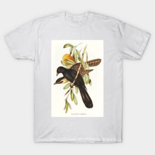 Flinder's Cuckoo T-Shirt